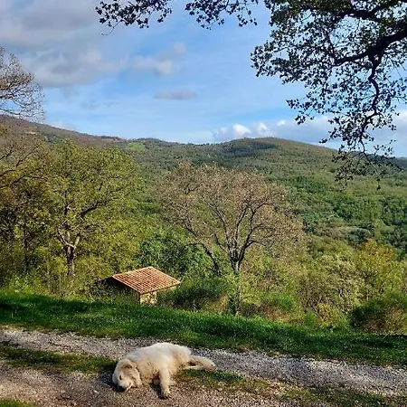 Villa Podere Frassinelli, Casa Nel Bosco *